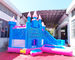 Customized Inflatable Bouncer Slide Children Bouncy Castle